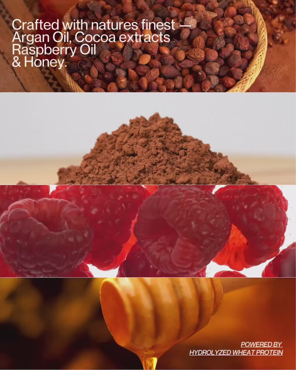 Argan Trio